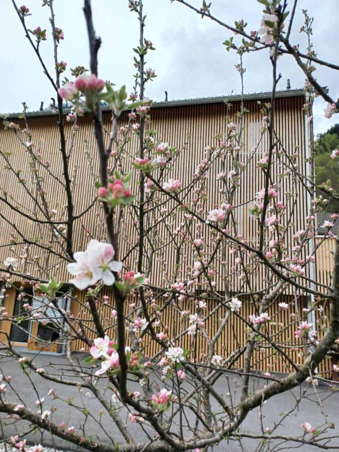 Apartement Kanisfluh Mellau Eksteriør bilde