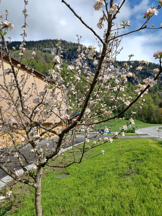 Apartement Kanisfluh Mellau Eksteriør bilde